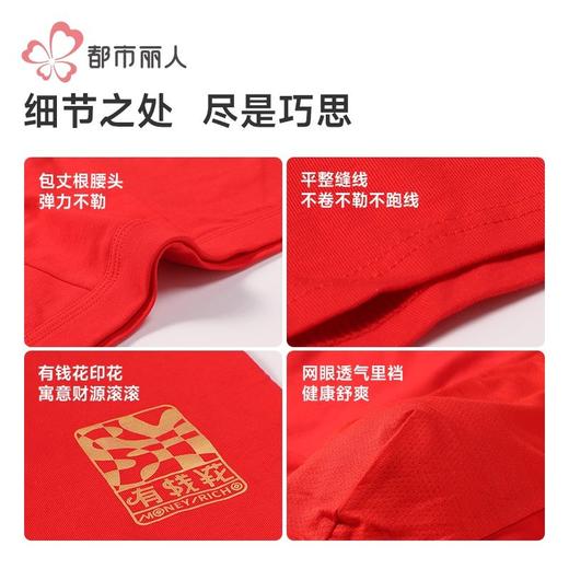 都市丽人内裤男士内裤40S棉拉架内裤氨纶头平角内裤男内裤FKHC49 商品图7