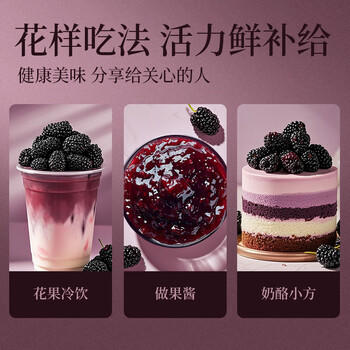 楼兰蜜语 黑桑葚干225g*2 罐装 蜜饯果干 桑果桑椹子 无沙 /休闲食品 /蜜饯果干 /其他蜜饯果干 商品图8