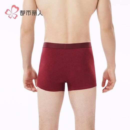 都市丽人内裤男士内裤50S棉拉架内裤明筋平角内裤男内裤FKHC48 商品图3