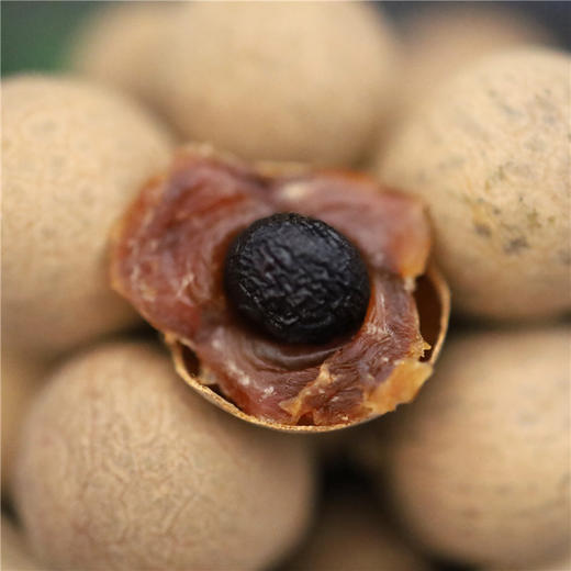 高州深山人·罐装桂圆干500g无核免剥罐装优选 商品图4