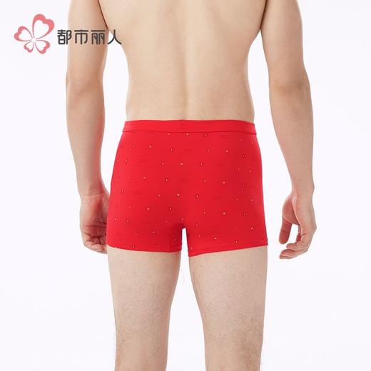 都市丽人内裤男士内裤50S棉拉架内裤氨纶头平角内裤男内裤FKHC52 商品图3