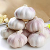 紫皮大蒜 3斤 农家自种蒜香浓郁坏果包赔 商品缩略图1