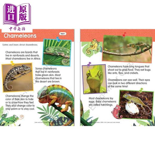 【中商原版】Listen and Learn Animals PreK 听故事学英语系列 动物 幼儿园小中班 Evan-Moor 美国英文原版 学前班活动练习册 商品图3