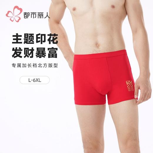 都市丽人内裤男士内裤40S棉拉架内裤氨纶头平角内裤男内裤FKHC49 商品图0