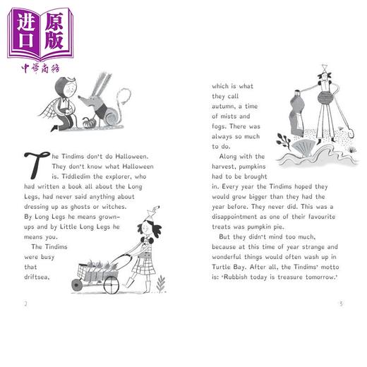 【中商原版】垃圾回收之家 可怕的秘密 The Tindims of Rubbish Island and the Spooky Secret 英文原版 儿童文学 插图小说 商品图3