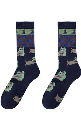 Jnby  25年秋款  高筒袜  6P8N10450