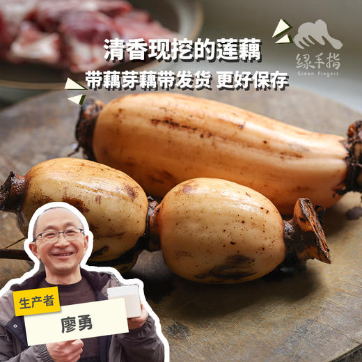 生态莲藕（脆藕粉藕，申通）| 合作生产* Eco-lotus root | Partner Production 商品图0