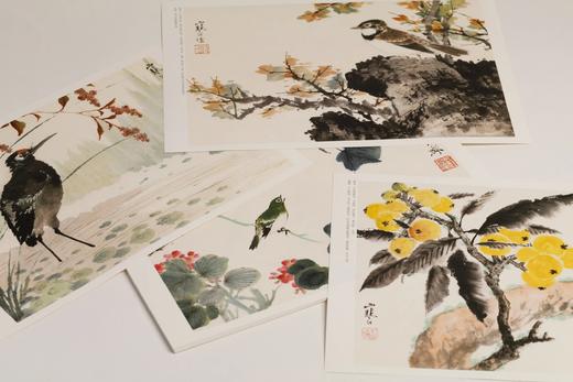 江寒汀百鸟百卉画册  本社 编 商品图7