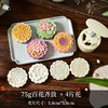 75克 百花齐放月饼模具(4片花) 商品缩略图0