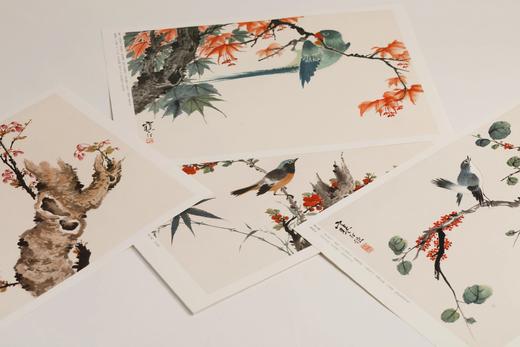 江寒汀百鸟百卉画册  本社 编 商品图5