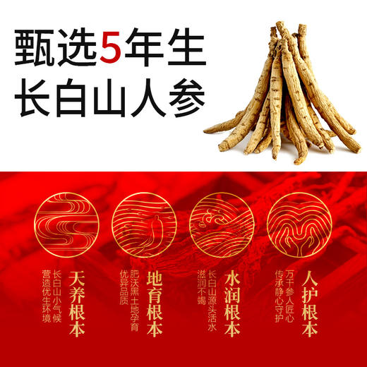 【顺丰包邮】康植元红参浆滋补养生熬夜必备提神元气饮 商品图3