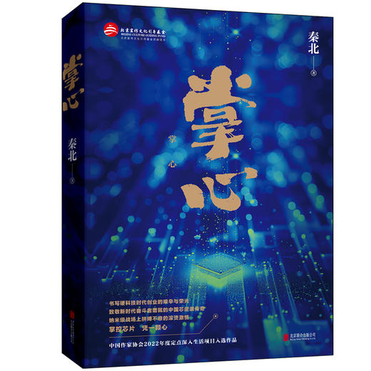 掌心 秦北著 掌控芯片凭一颗心 深入中国半导体产业腹地的小说 书写硬科技时代创业的艰辛与荣光 职场创业长篇小说书籍 商品图0