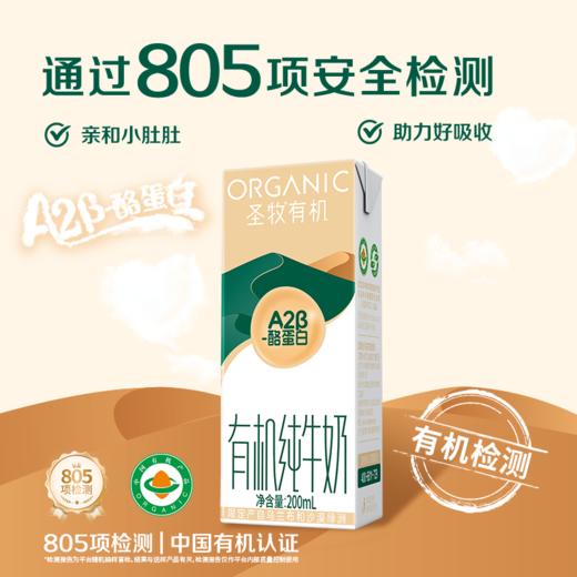【A2蛋白专注吸收】圣牧有机A2β-酪蛋白纯牛奶 200ml*10盒*2箱 3.6g蛋白质 商品图0