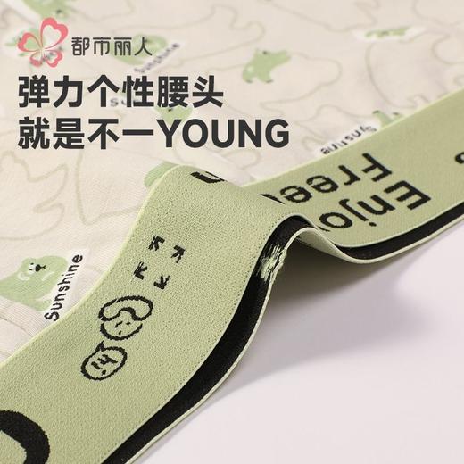 都市丽人内裤男士内裤40S棉拉架内裤明筋平角内裤男内裤FKHC43 商品图5