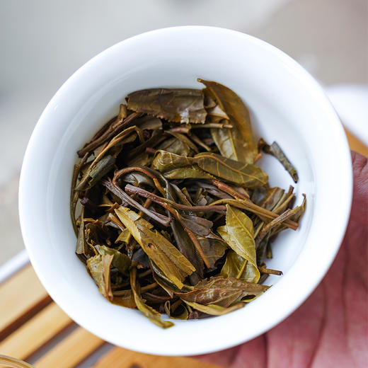 【老张免费请你喝茶】【六年陈老生茶】一线茶厂供货撕标清仓；2019年头春最纯正原始茶树种压制；200g* 5饼/提【收到试喝猜山头，猜对直接免单！】每个id限购2提 商品图3