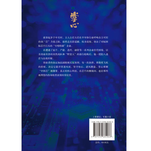 掌心 秦北著 掌控芯片凭一颗心 深入中国半导体产业腹地的小说 书写硬科技时代创业的艰辛与荣光 职场创业长篇小说书籍 商品图2