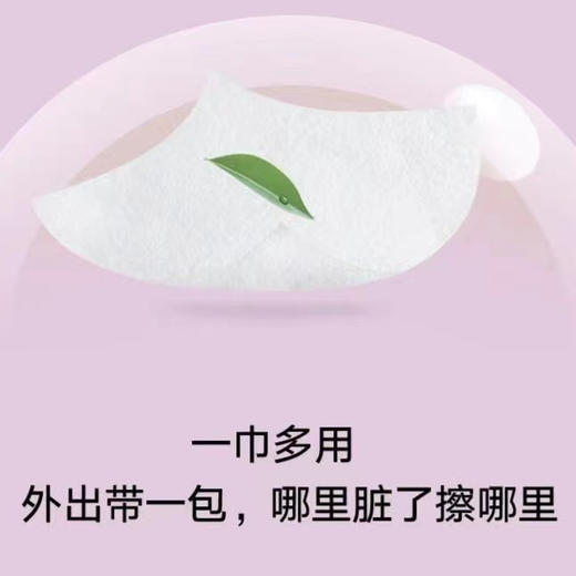 缘木木MINI型便携式手口湿巾 商品图2