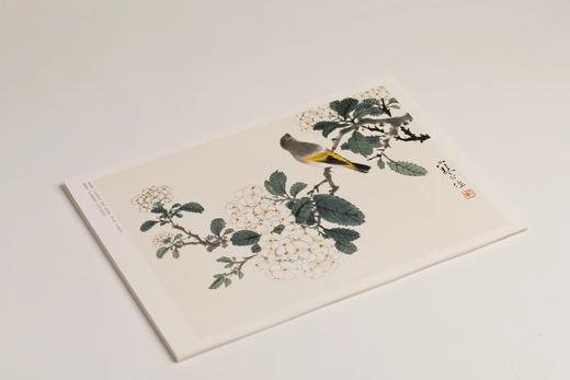 江寒汀百鸟百卉画册  本社 编 商品图8
