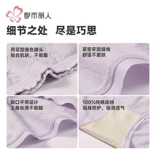 都市丽人内裤女士锦氨内裤女士平角内裤女内裤一体美臀内裤LKH5U1 商品图6