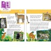 【中商原版】Listen and Learn Animals Grade 1 听故事学英语系列 动物 一年级 Evan-Moor 美国英文原版 小学学习活动练习册 商品缩略图2
