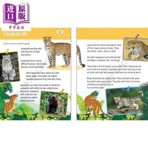 【中商原版】Listen and Learn Animals Grade 1 听故事学英语系列 动物 一年级 Evan-Moor 美国英文原版 小学学习活动练习册 商品图2