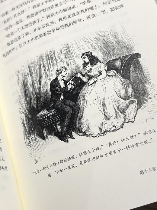 限量珍藏版《大卫·科波菲尔》荷兰进口漆布+三面书口鎏金+丝印花纹 商品图10