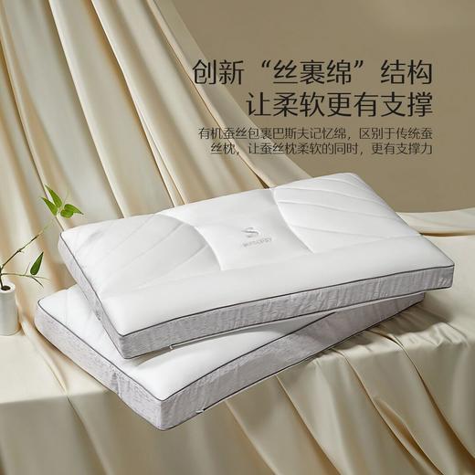 水星家纺A类抑菌青桑有机蚕丝枕头 商品图0
