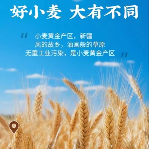 苏米仔新疆鸡蛋面800g 商品图1