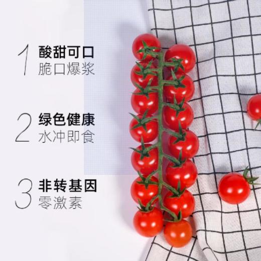 串番茄（约500G） /份 商品图0