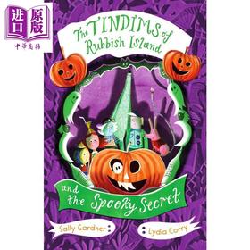 【中商原版】垃圾回收之家 可怕的秘密 The Tindims of Rubbish Island and the Spooky Secret 英文原版 儿童文学 插图小说
