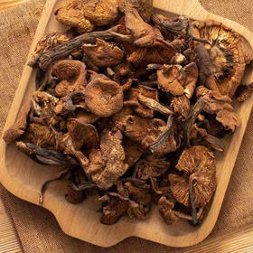 东北榛蘑基地直邮