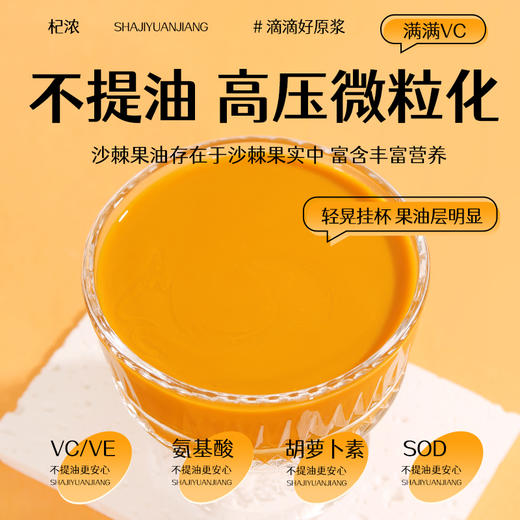 600沙棘原浆 商品图2