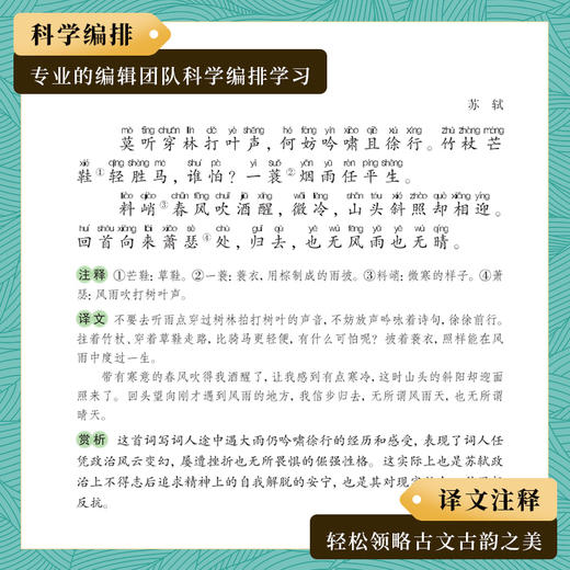 宋词三百首【注释、译文、赏析，带拼音，每篇词文均配彩图】 商品图4