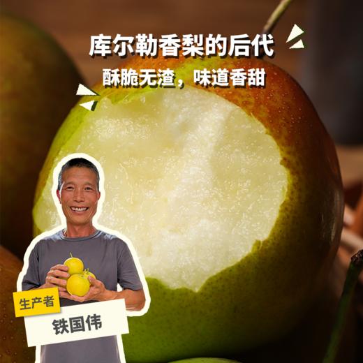 生态玉露香梨 | 合作生产 *Eco-Jade dew pear | Coproduction 商品图0