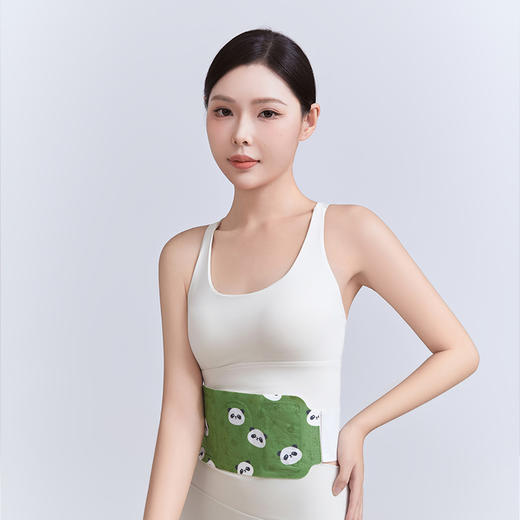 恒得舒紫苏西红花精油腰腹热敷贴HDS-ZQ03 商品图2
