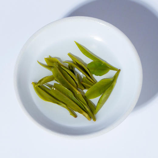 鹊鸣春特级翠芽 · 桂江翡翠针，口感鲜爽，清甜回甘，农残不得检出 商品图3