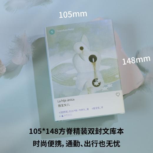 独生女儿 | 新拉美文学领军人物瓜达卢佩·内特尔长篇力作！入围国际布克奖短名单，诺奖得主安妮·埃尔诺、流行女王Dua Lipa盛赞，打破社会对母职的浪漫化想象 商品图4