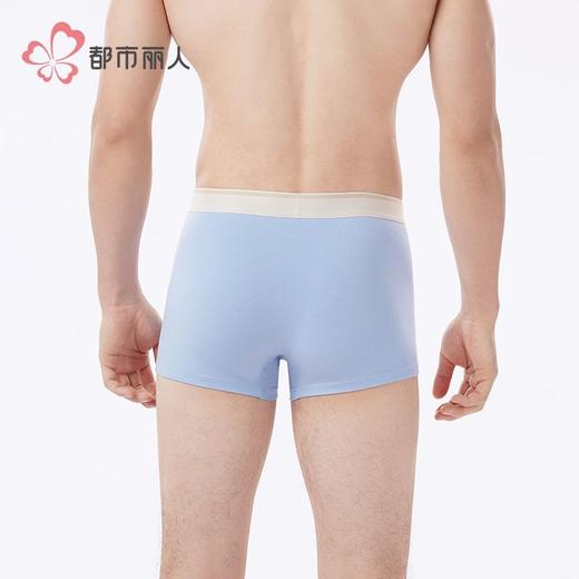 都市丽人内裤男士内裤40S棉拉架内裤明筋平角内裤男内裤FKHG07 商品图3