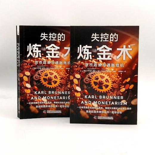 失控的炼金术 货币政策与通胀危机 商品图3