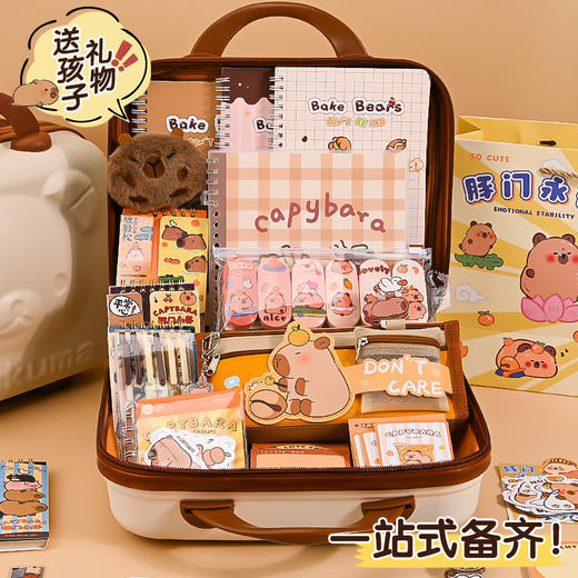 哇~满满一箱【开学大礼包！一站式备齐】文具齐全，卡皮巴拉开学季大礼包小学生伴手礼礼盒学习奖品礼品礼物文具套装。ra 商品图3