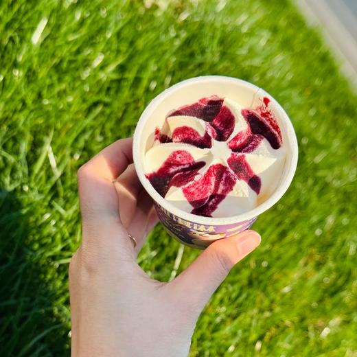 认养一头牛冰淇淋（可选30支或20支） | A2β-酪蛋白牛乳，亲和肚子无负担，配料表简单 商品图1