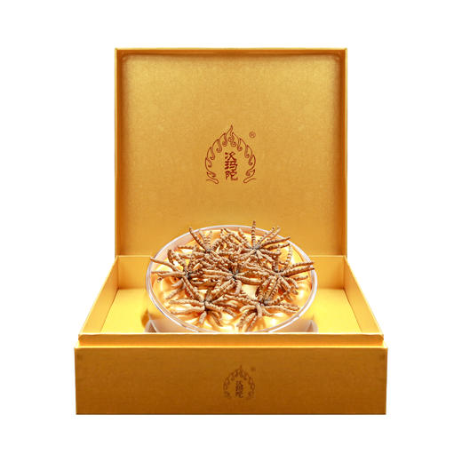 次玛陀冬虫夏草 商品图2