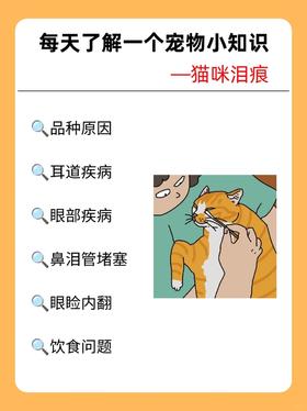 每天认识一个宠物小知识—猫咪泪痕🐱