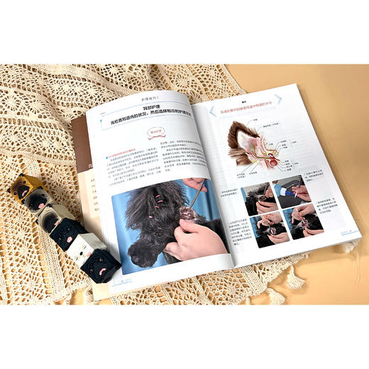 宠物狗美容图解教程：清洁、护理、造型 商品图4