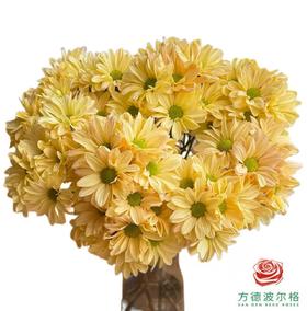 市场小菊 香香公主