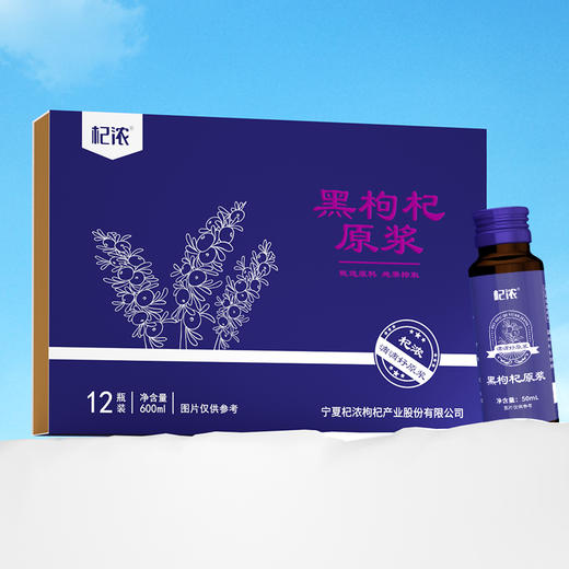 600黑枸杞原浆 商品图6