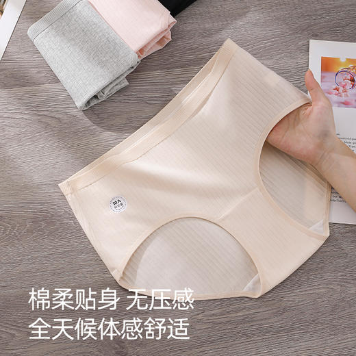 加肥加大码300斤内裤纯棉a类加长裆10A抗菌妈妈宽松内裤507# 商品图5