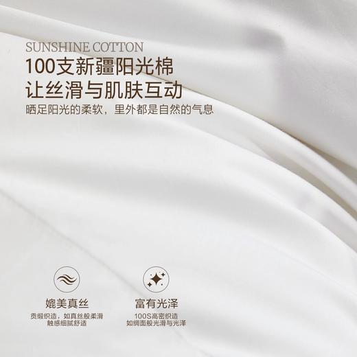 水星家纺全棉复合白鹅绒枕 商品图3