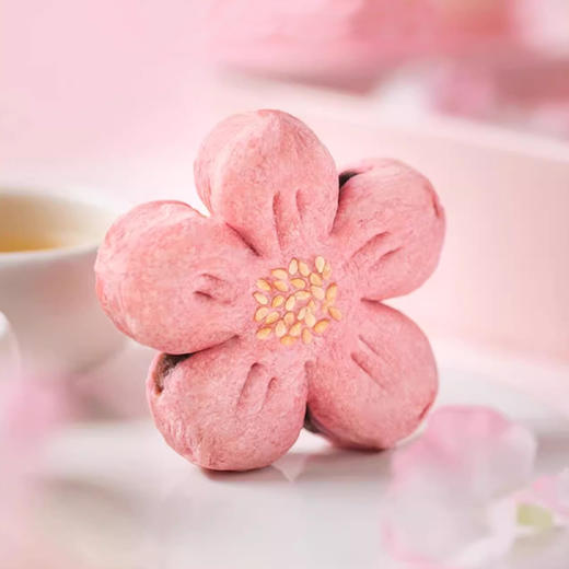 【预售1.10日陆续发货】粹品养元酥点礼盒450g 商品图1