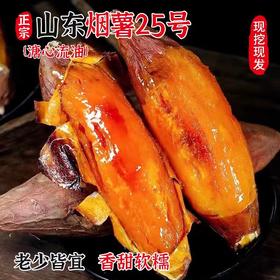 XN山东烟薯4.5斤彩箱装【分仓直发，72小时发货，周末节假日不发货】